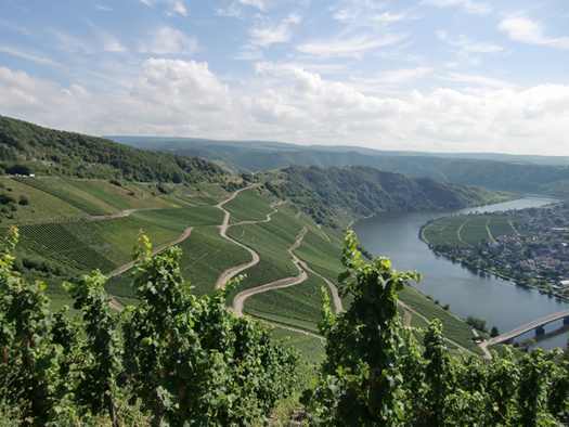 mosel-impression mosel-impression